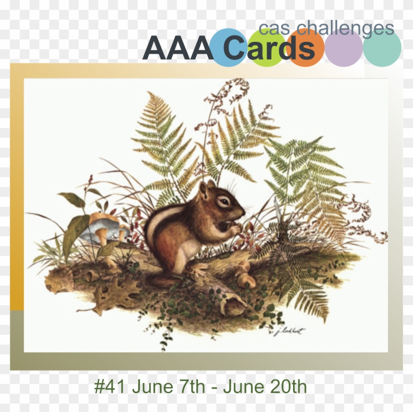 Link Up, Mention Us In Your Post With Our Address And - Possum Clipart #5164302