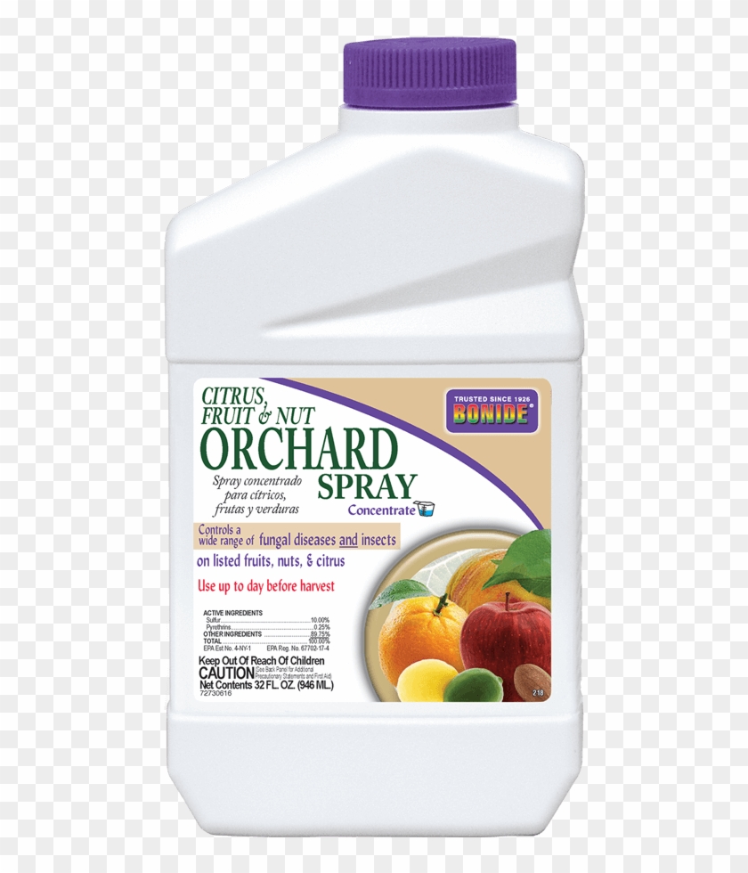 Qt Conc - Natural Foods Clipart #5165080