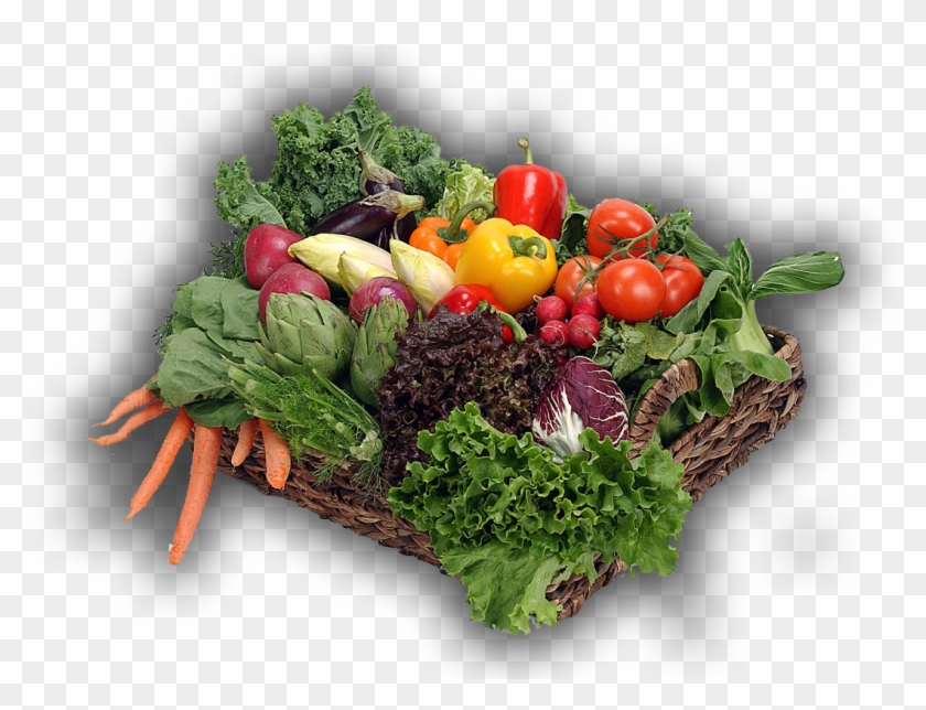 Verduras - Farm Vegetables Clipart #5165351