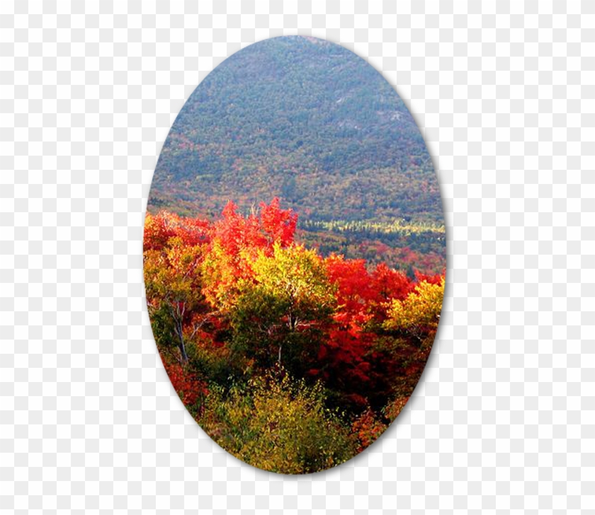 Best Indian Natural Pictures Hd Clipart