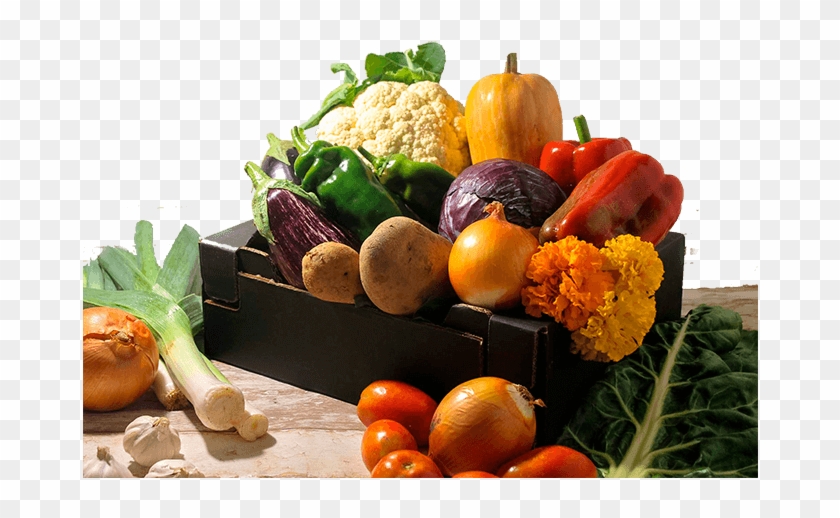 Cesta Verdura Mediana Ecologica Somnatur - Zucchini Clipart