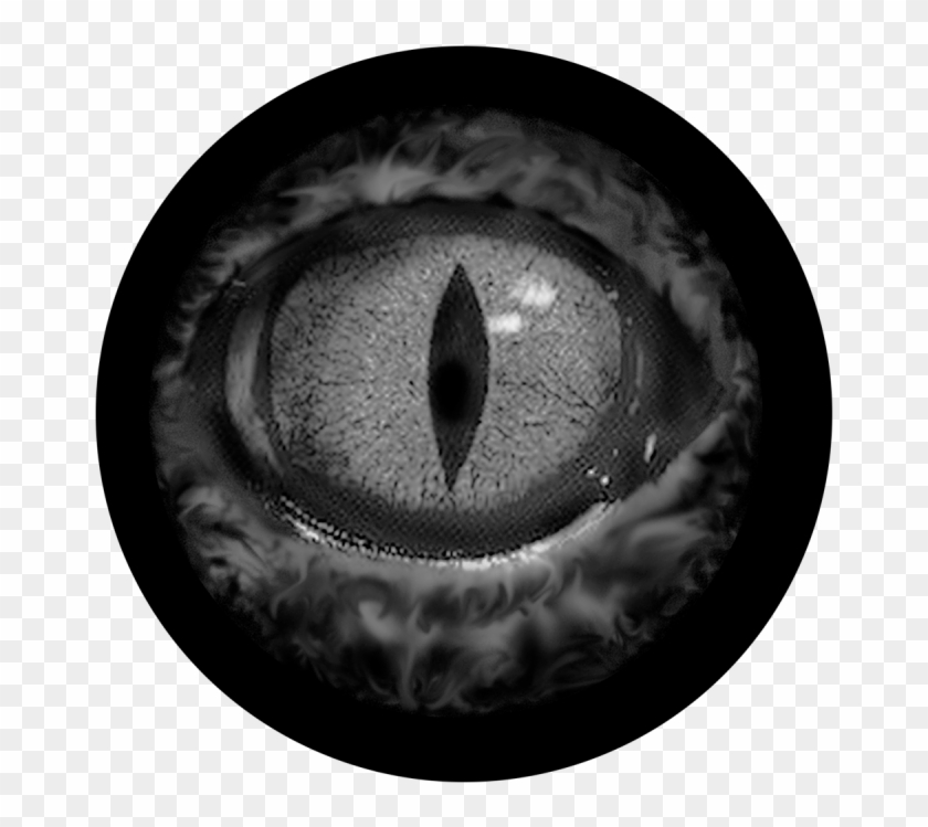 More Views - Circle Clipart #5165562