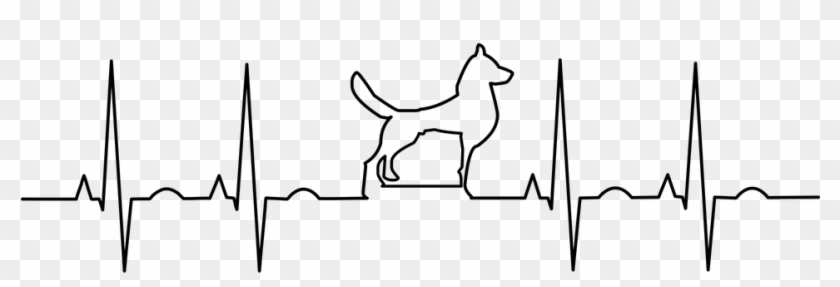 Ekg Electrocardiogram Anatomy Aorta Biology Blood - Ekg Animal Clipart