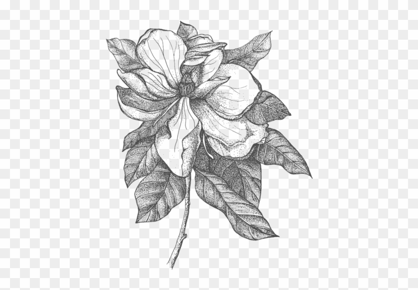 Click And Drag To Re-position The Image, If Desired - Magnolia Clipart #5165951