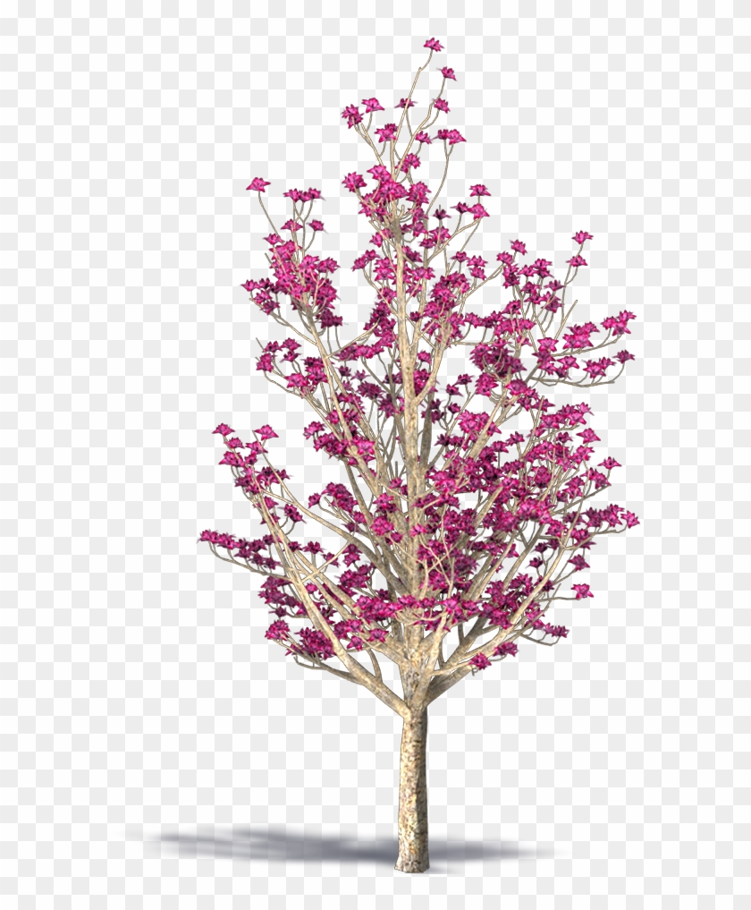 Saucer Magnolia - Artificial Flower Clipart #5166107