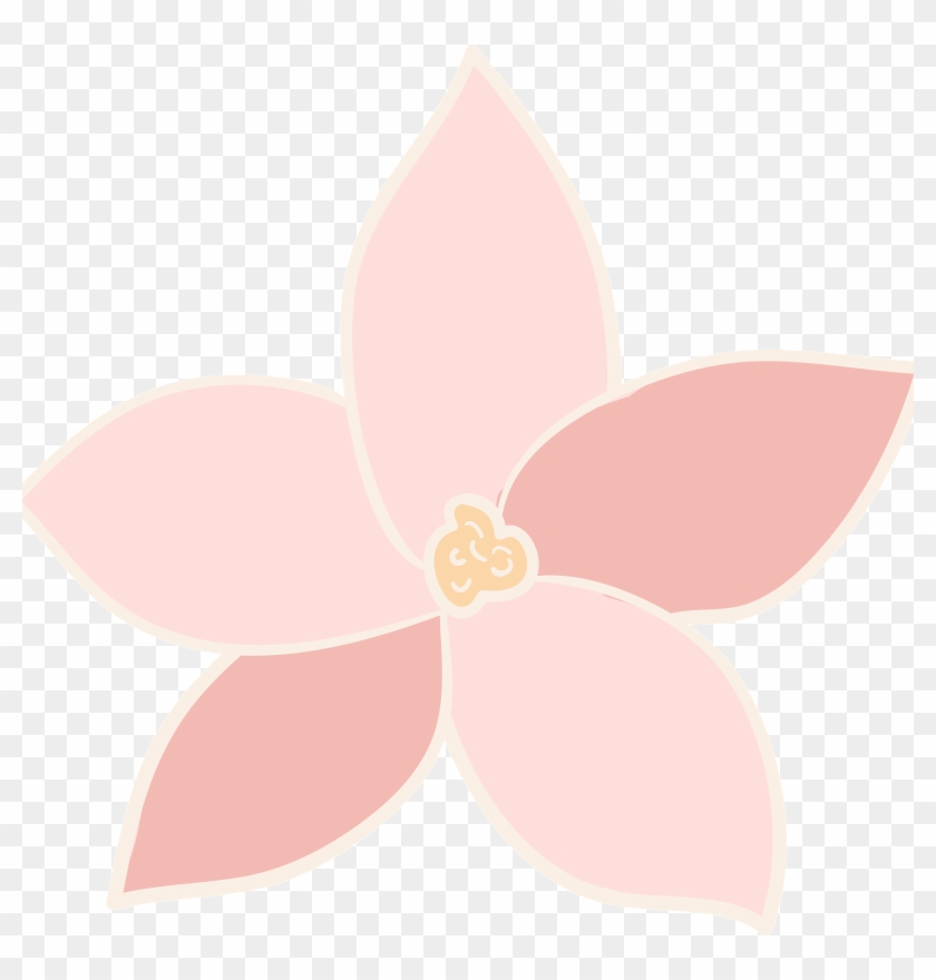 This Illustrated Floral Note Card Set Of 6 Is Perfect - Illustration Clipart