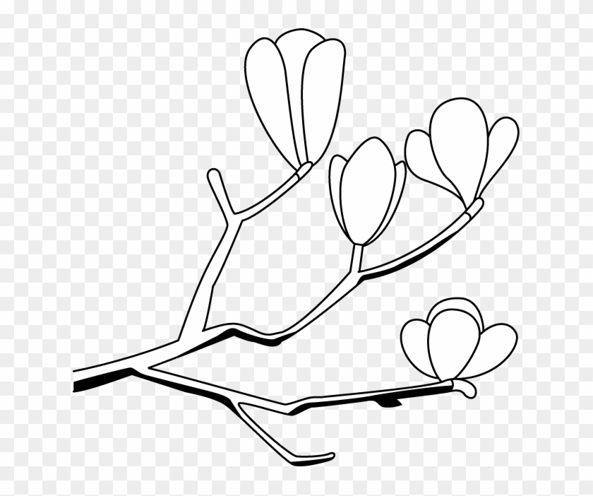 Magnolia Clip Art - こぶし の 花 イラスト 無料 - Png Download