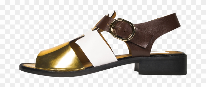 Sandalia De Mujer Tipo Cangrejera Diseño Ana Matt, - Sandal Clipart #5166445