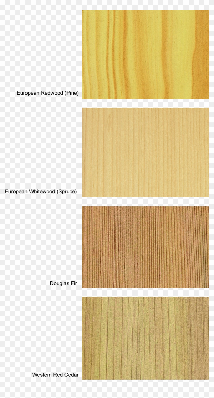 Timber Species Choosing Wood - European Redwood Clipart #5166702