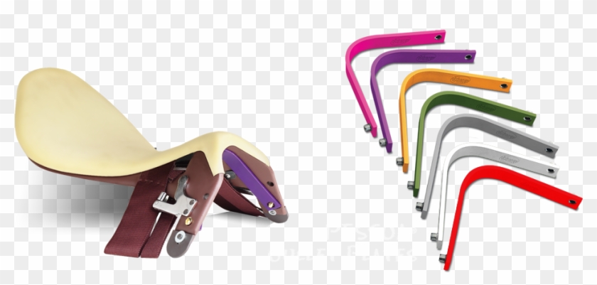 Pessoa Gullet Plates Clipart