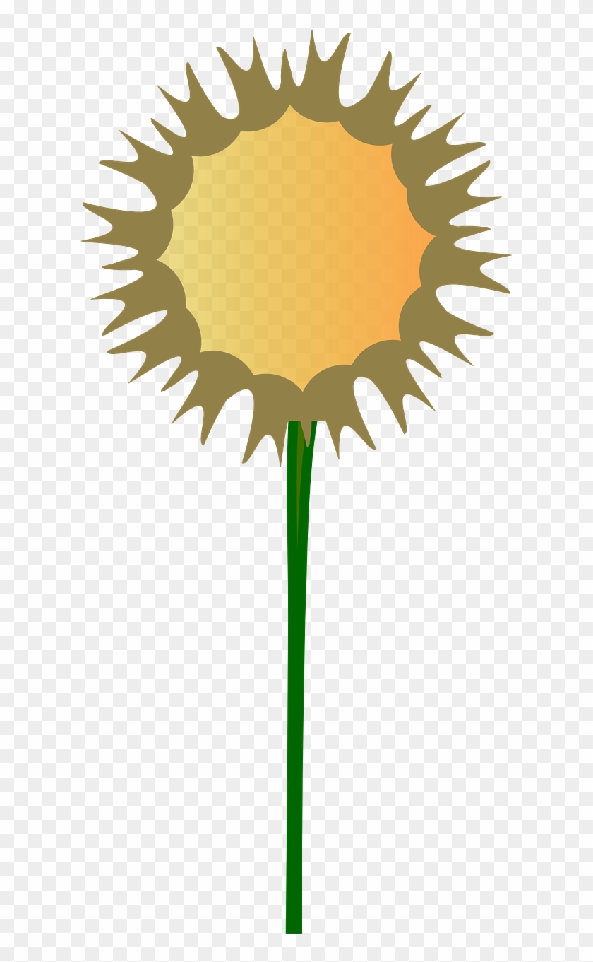 Vector Graphics, - Clip Art - Png Download