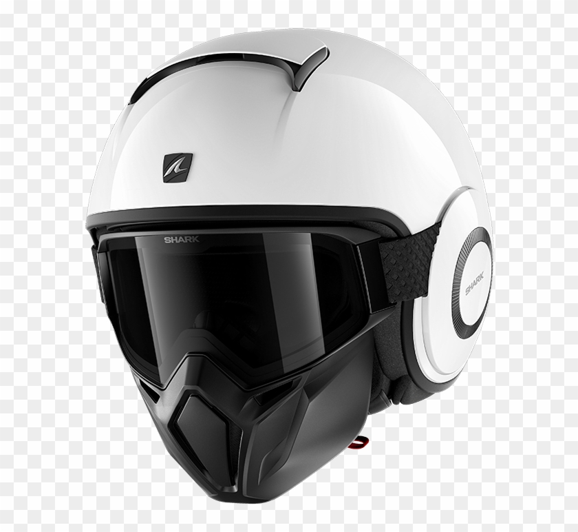 Shark Street Drak Blanc Clipart