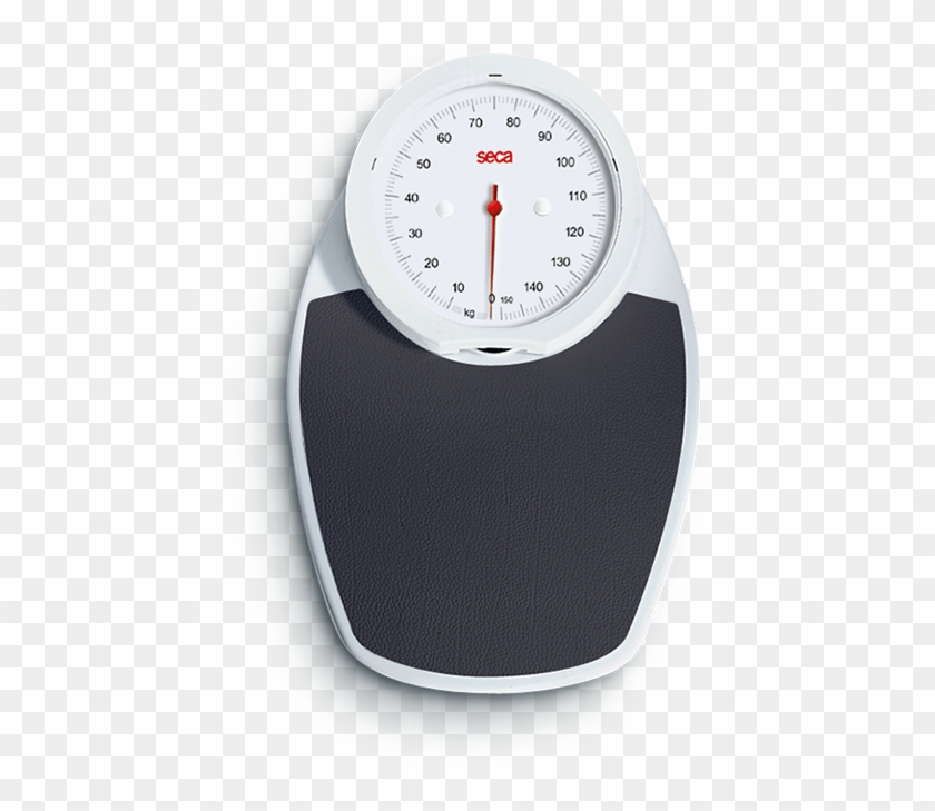 Seca - Seca 750 Scale Clipart