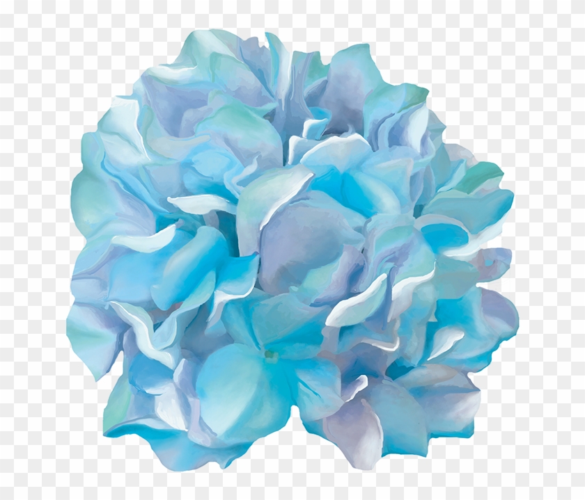 Hydrangea Transparent Watercolor - Artificial Flower Clipart #5168896