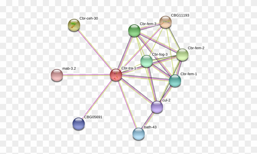 Purple Fog Png Clipart