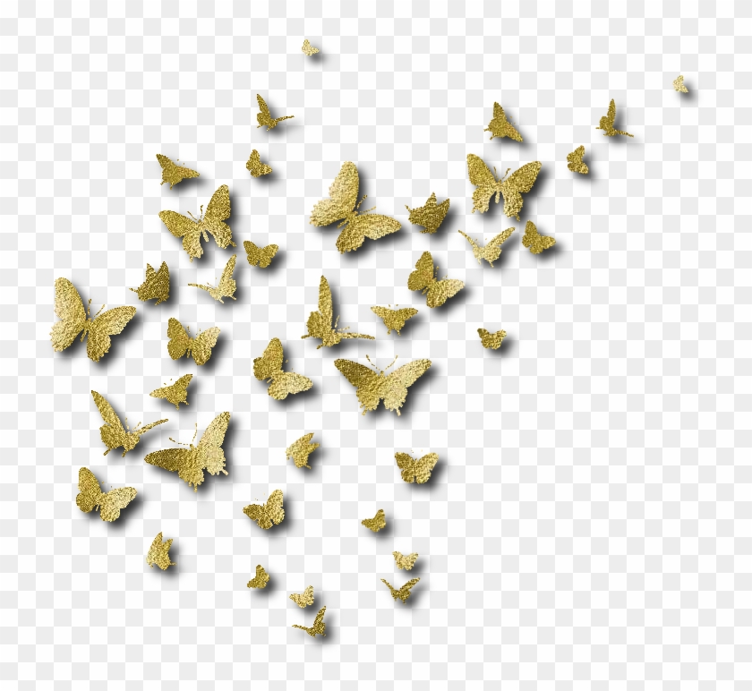 Butterfly Stencil Wall Designs Clipart