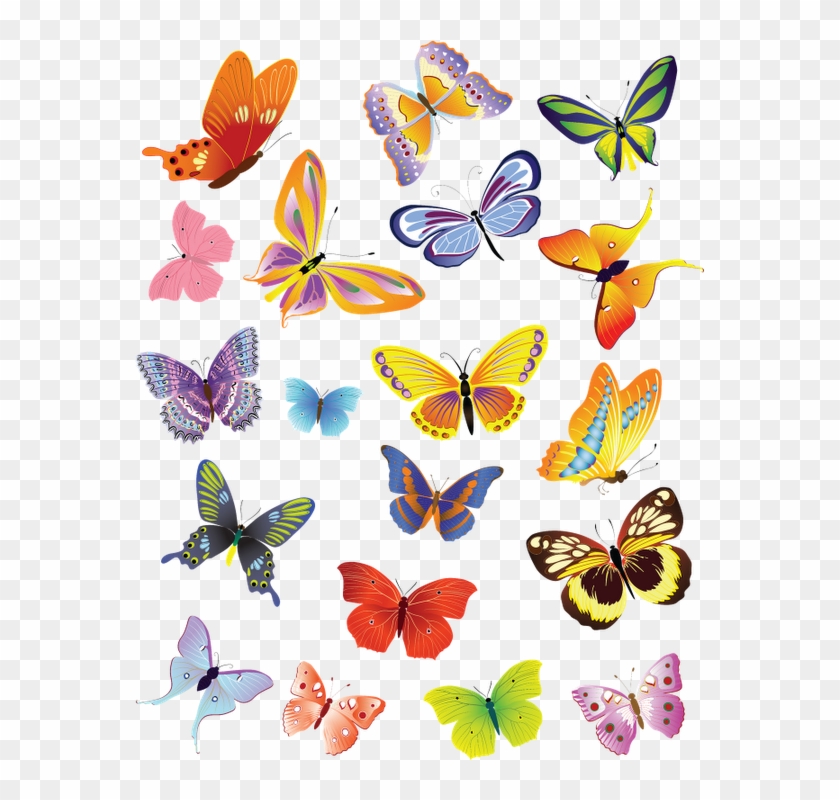Mariposas - Cute Butterfly Vector Free Download Clipart