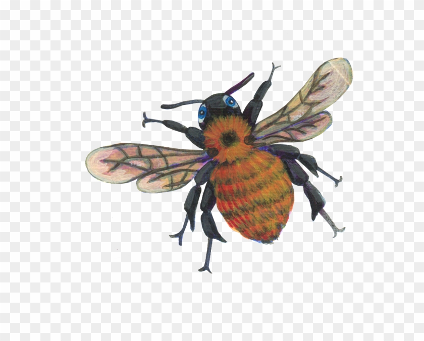 El Formato Resultante Del Proceso De Edición Es Consecuente - Hornet Clipart #5172954