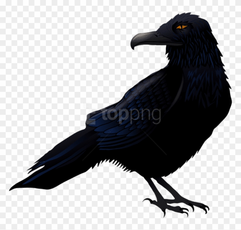 Download Haunted Raven Png Vector Png Images Background - Raven Clipart Png Transparent Png
