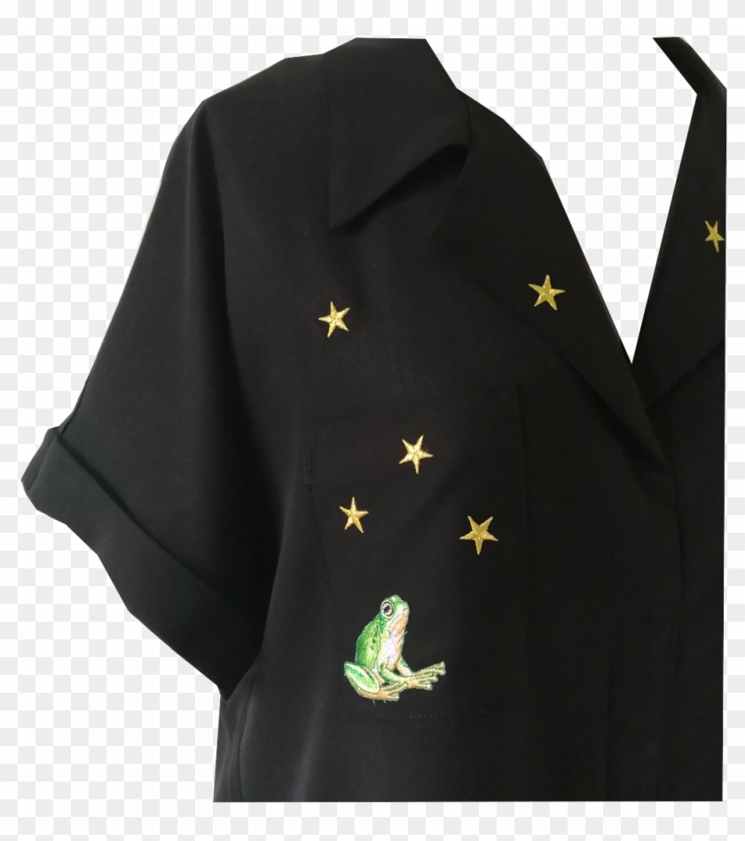 La Rana Che Sogna - True Frog Clipart