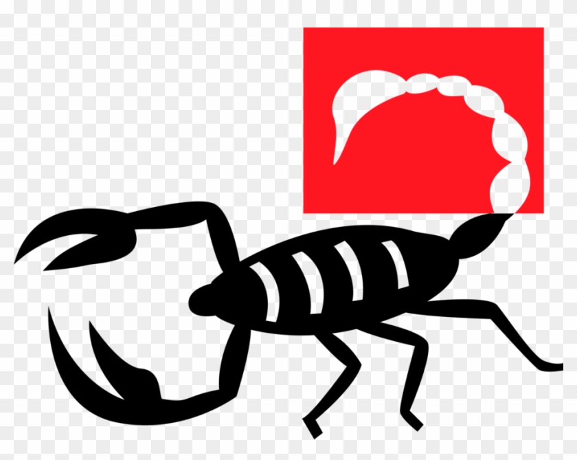 Predatory Arachnid Image - Scorpion Clipart