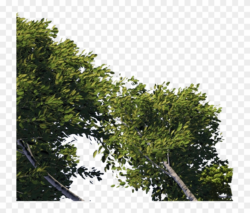 Dreamworld - Dreamworld - Dreamworld - Dreamworld - - Shrek Clipart