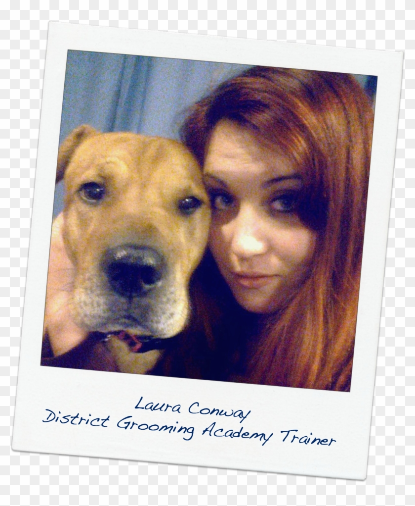 Laura Conway, District Academy Trainer - Companion Dog Clipart #5175870