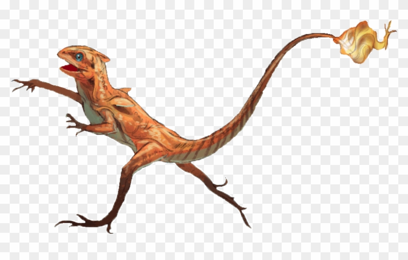 Charmander , Png Download - Charmander Realistic Clipart