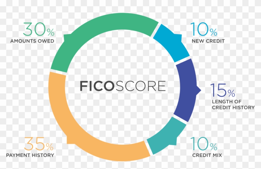Credit Score Breakdown Clipart