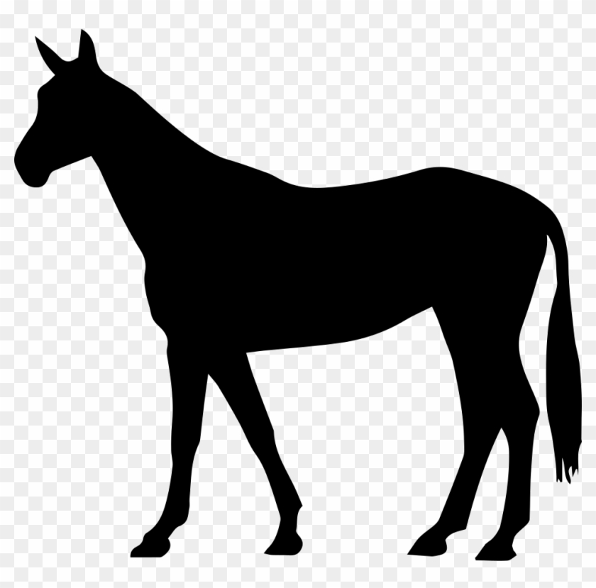 Horse Thin Black Standing Shape Of Long Tail Facing - Horse Shape Clipart #5177527