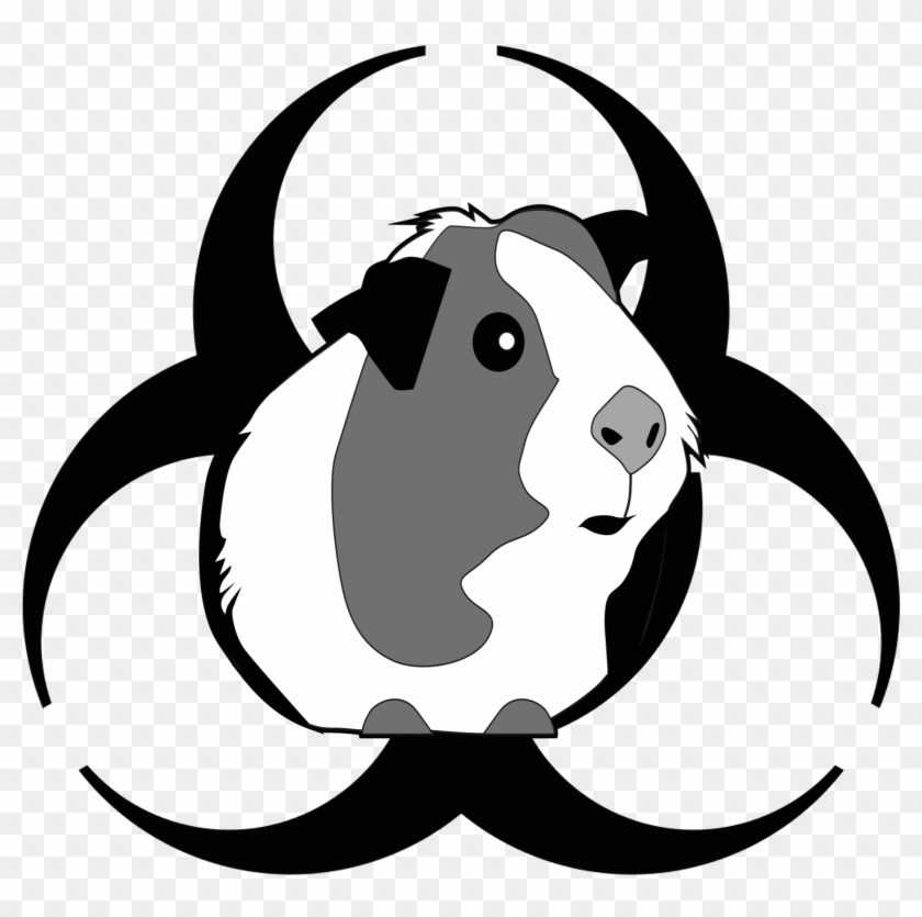 Attack Of The Peruvian Guinea Pig Death Flu , Png Download - Guinea Pig Clipart Png Transparent Png #5177951