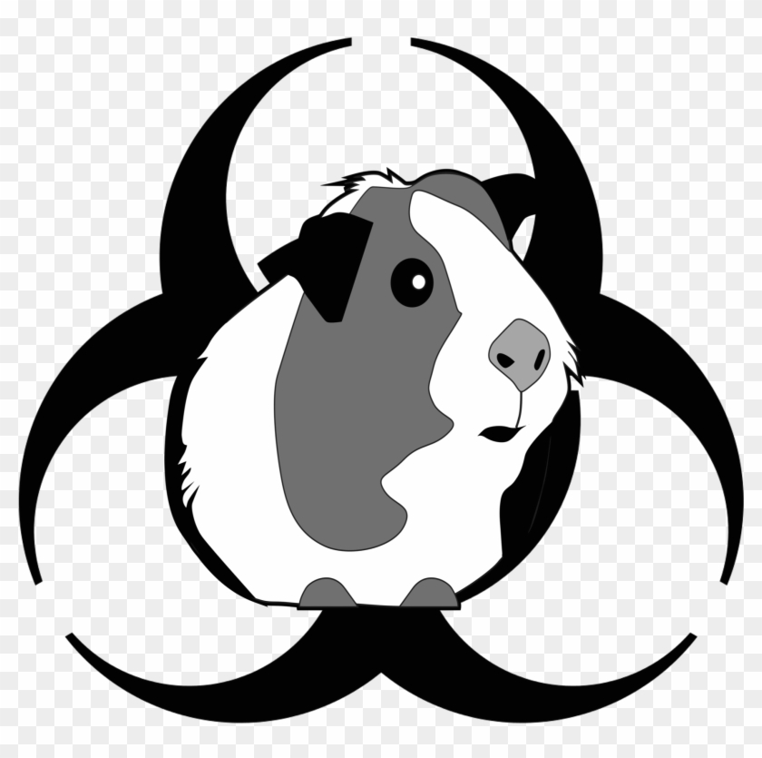 Attack Of The Peruvian Guinea Pig Death Flu , Png Download - Guinea Pig Clipart Png Transparent Png