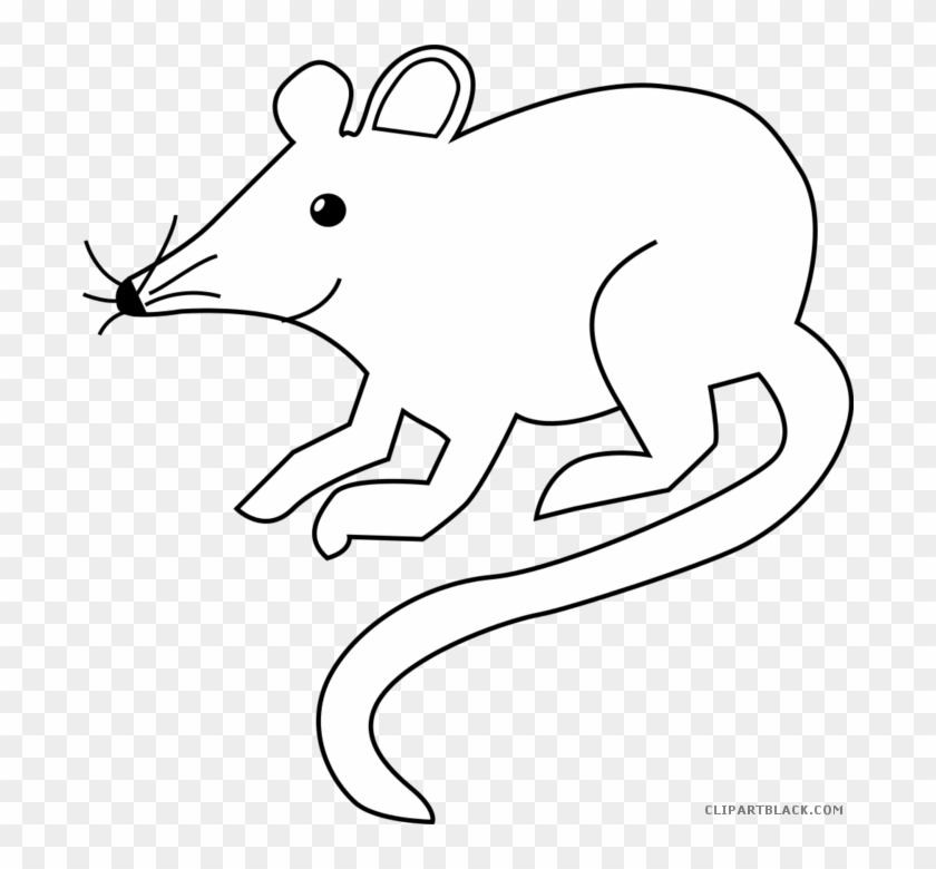 Rat Mouse Clipart White - Rat Black And White Clipart - Png Download #5178666