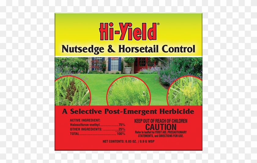 Hi-yield Nutsedge & Horsetail Control - Hi Yield Nutsedge And Horsetail Control Clipart #5178859