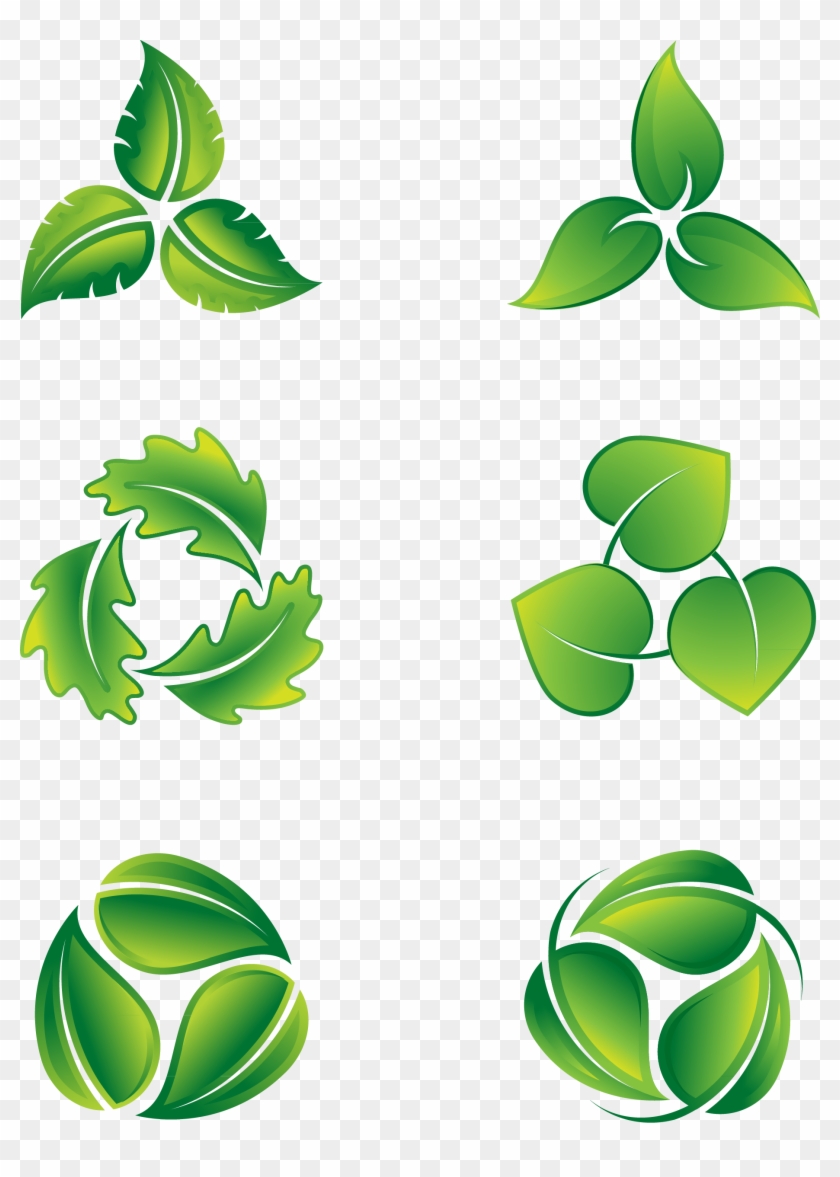 Leaf, Logo, Green, Plant, Grass Png Image With Transparent - Логотип С Листьями Clipart