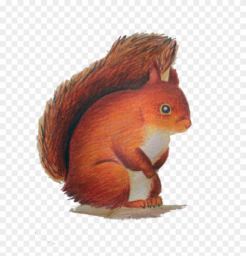 Squirrel Clipart #5179874