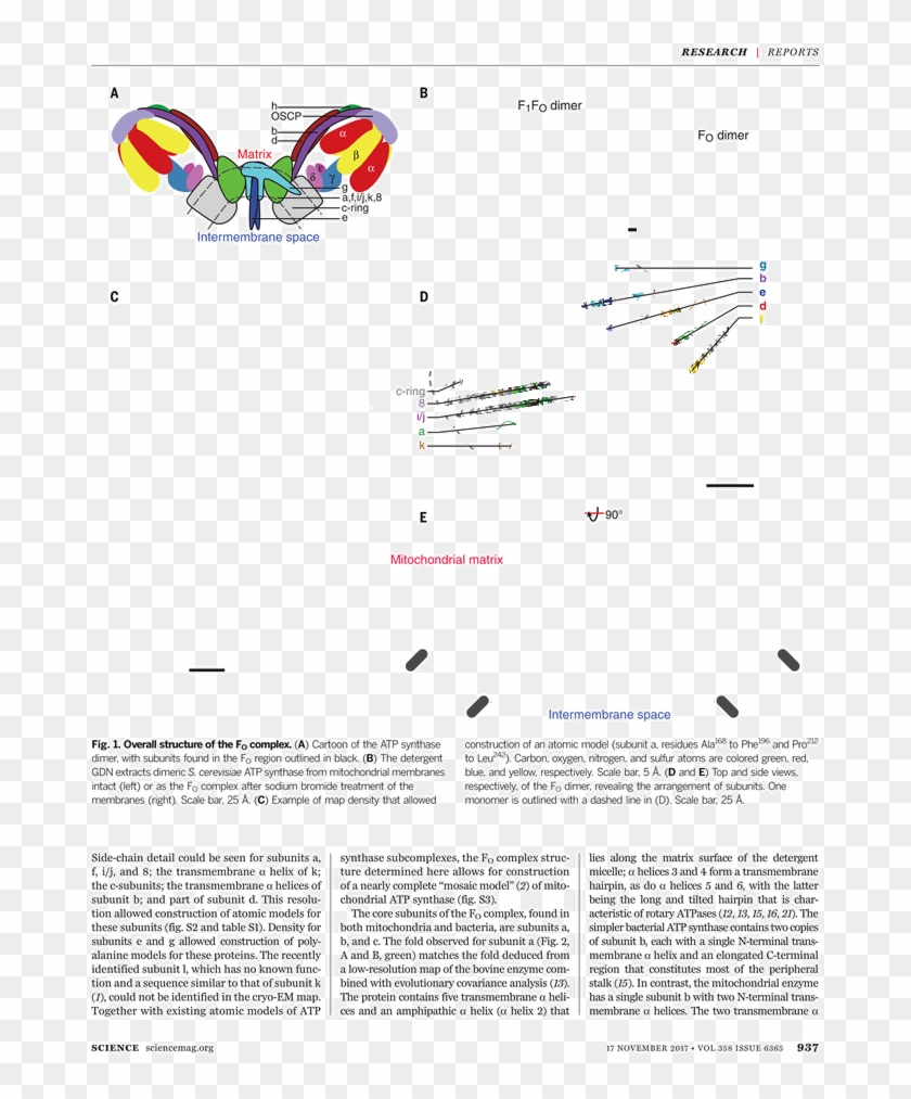 Folio Eleven From Burchard Of Sion's De Locis Ac Mirabilibus Clipart