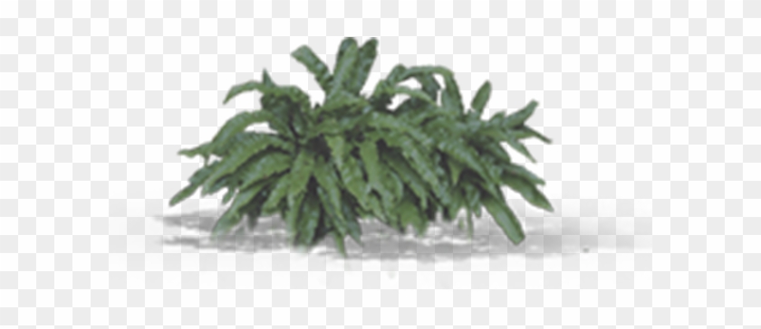 View In My Picture - Leafy Plants Png Clipart