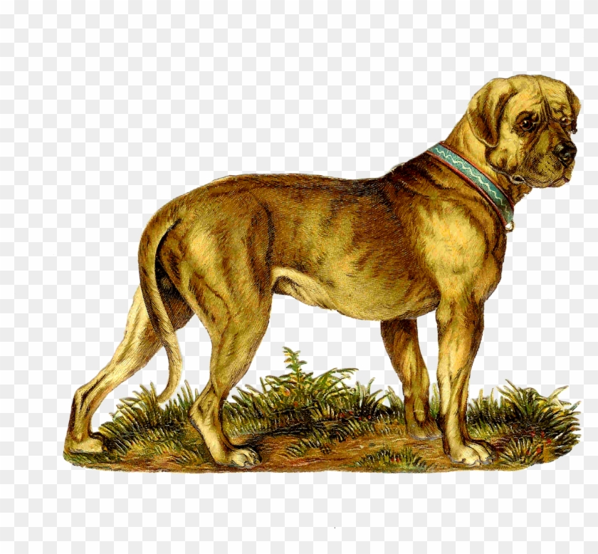 Dogs - Victorian Die Cuts Dogs Clipart #5180804