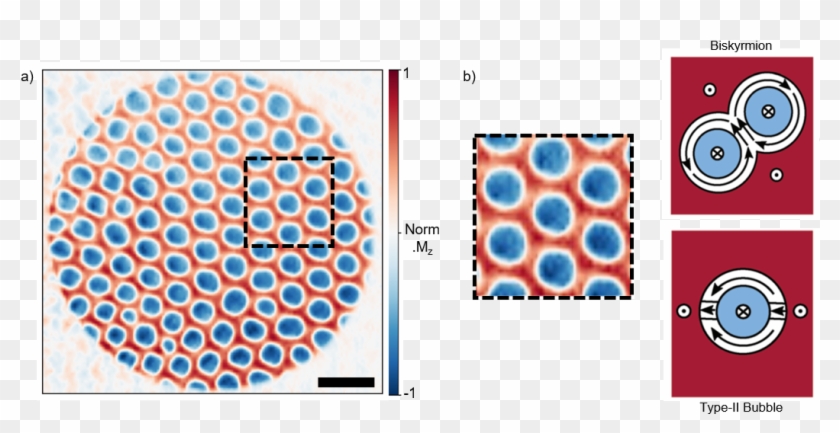 Holograms Following A Magnetic Field Sweep At Room - Circle Clipart