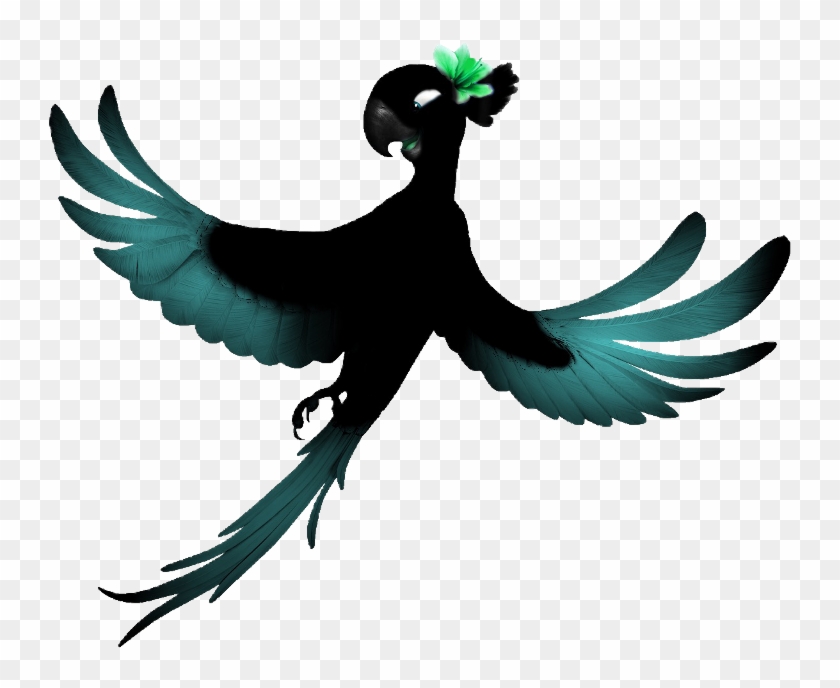 Rio Jewel Crow Blu Raven Black Lol Helpme Perroquet Rio Dessin Couleur Clipart Pikpng Rio Jewel Crow Blu Raven Black Lol Helpme Perroquet Rio Dessin Couleur Clipart Pikpng
