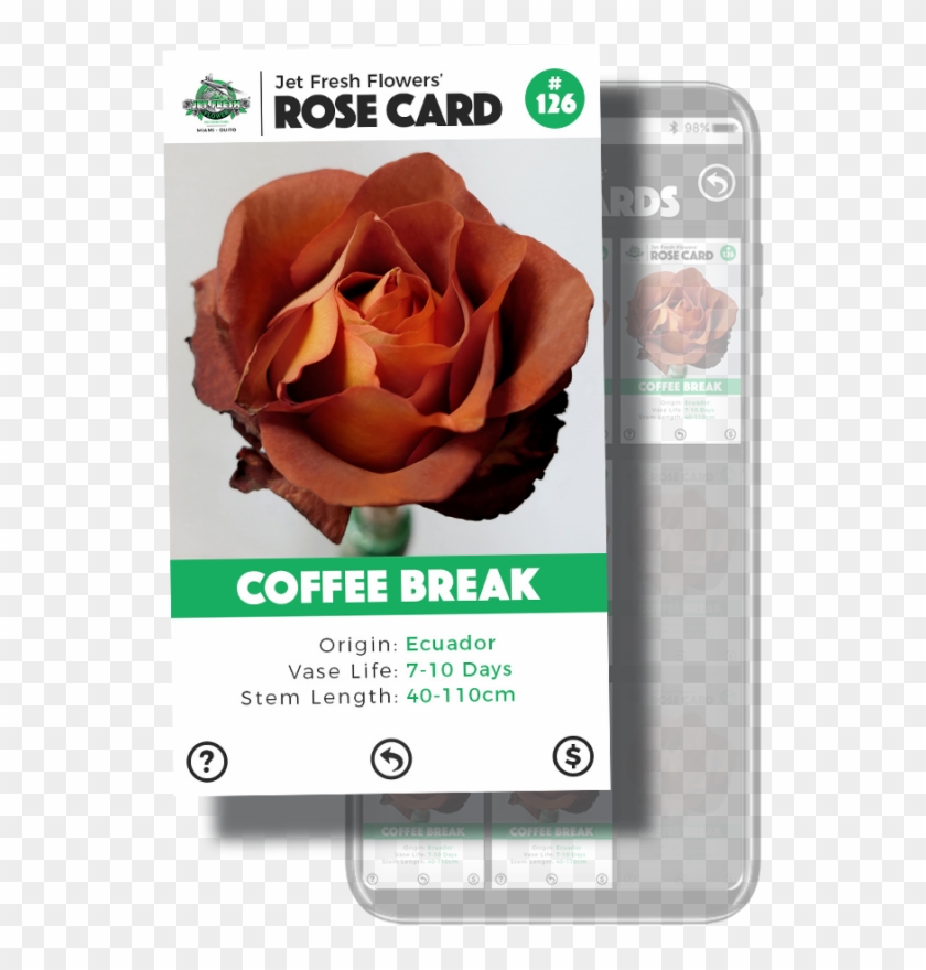 My Cards - Garden Roses Clipart