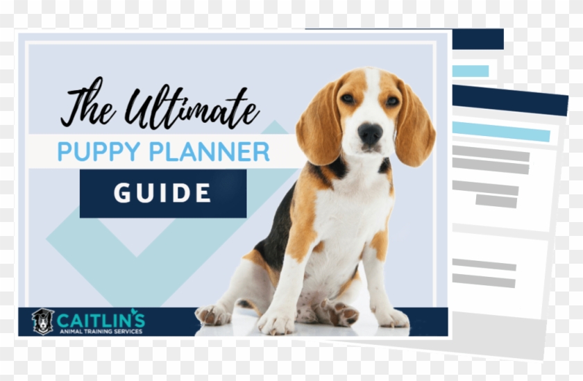 Download Now - “ - Dicas Pra Viahar Com O Pet Clipart