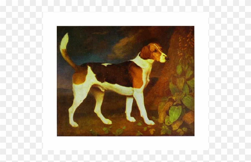A Foxhound, Ringwod - George Stubbs Dog Paintings Clipart #5183336