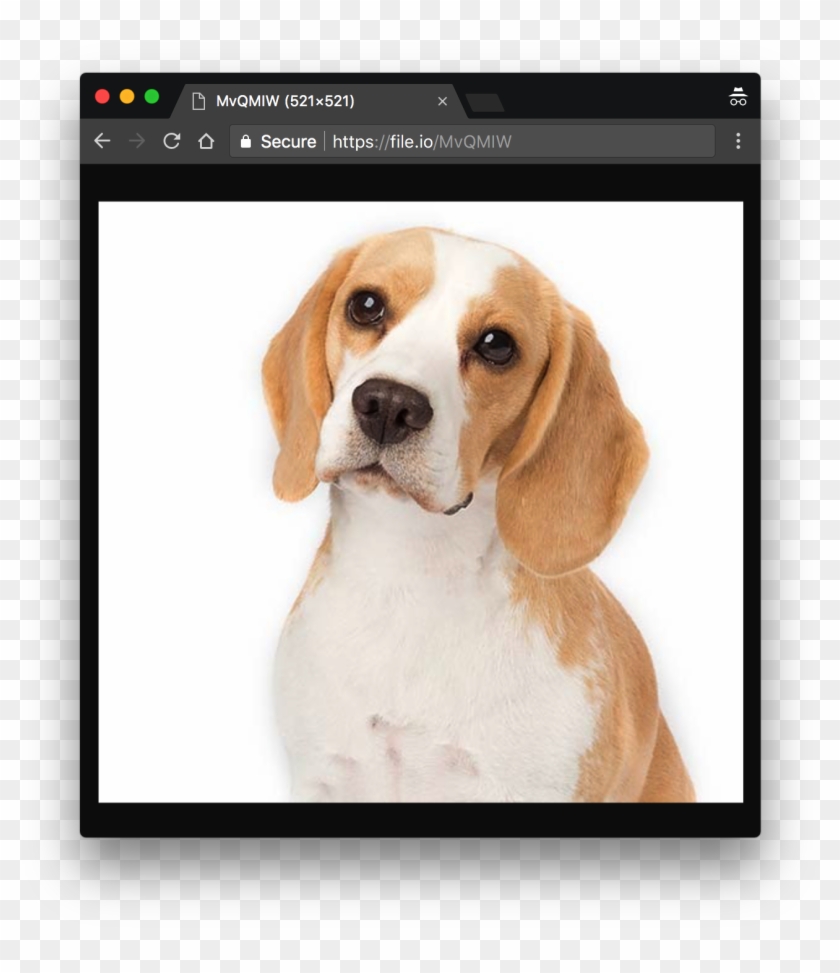 You Can Doublecheck The Successful Upload By Retrieving - Beagle Clipart #5183955