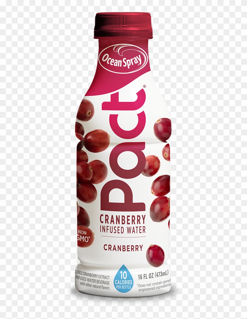 Drinks Transparent Water Ocean - Grape Clipart