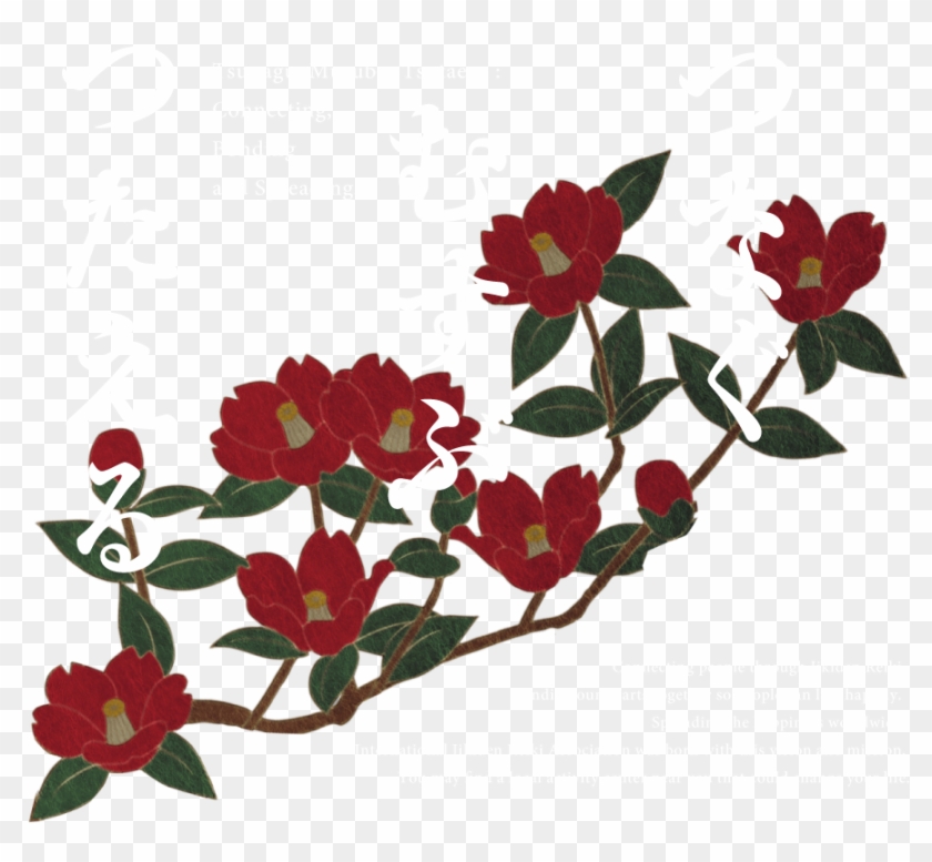 Japanese - Rosa Glauca Clipart