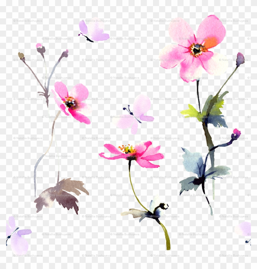Moth Orchid Clipart