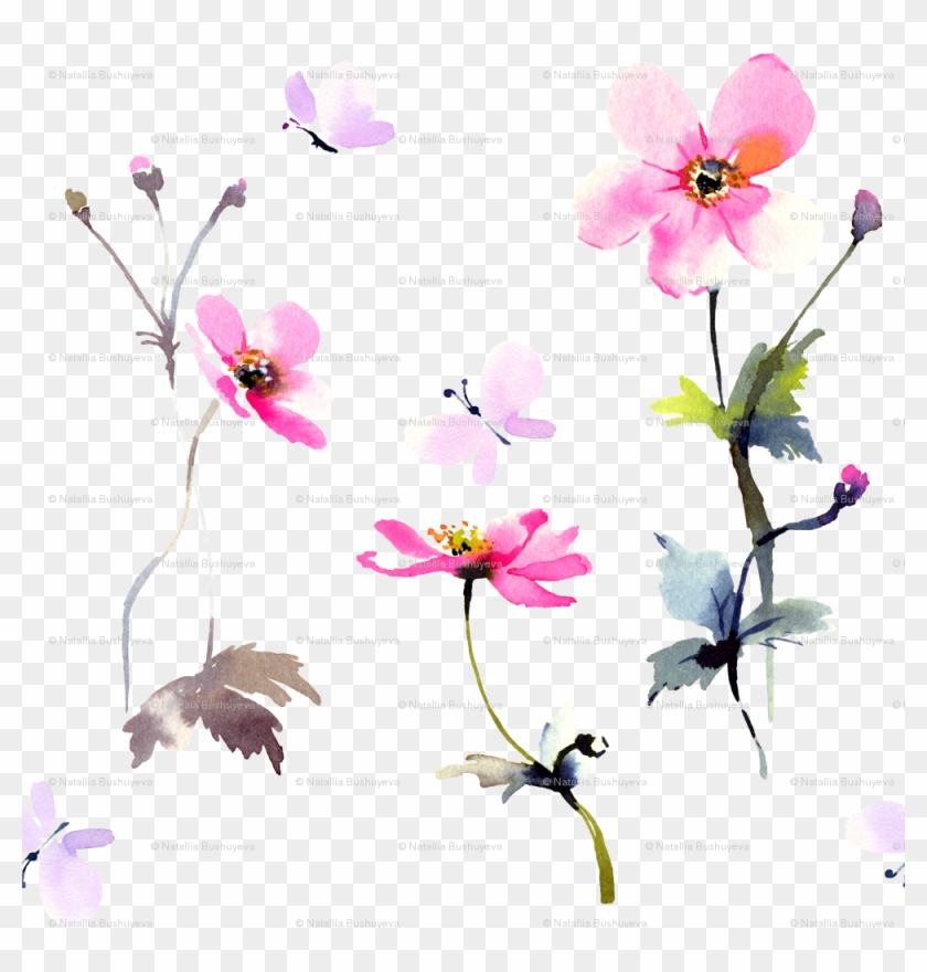 Moth Orchid Clipart #5189459