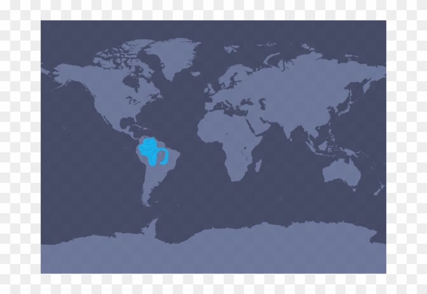 This Following Map Shows The Distribution Of Amazon - Southern Right Whale Dolphin Range Clipart #5191036